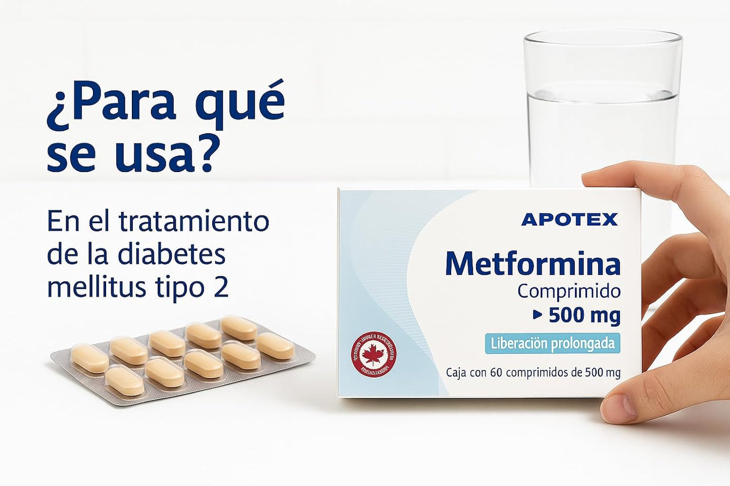Metformina 500, Absorción gradual, 60 unidades (1 Caja)