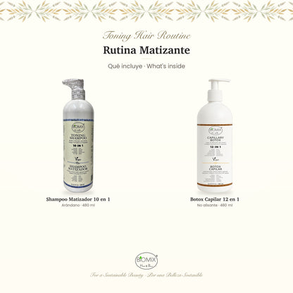 Biomix Rutina Matizante · Shampoo Matizador 10 en 1 (480 ml) + Botox Capilar 12 en 1 No Alisante (480 ml)