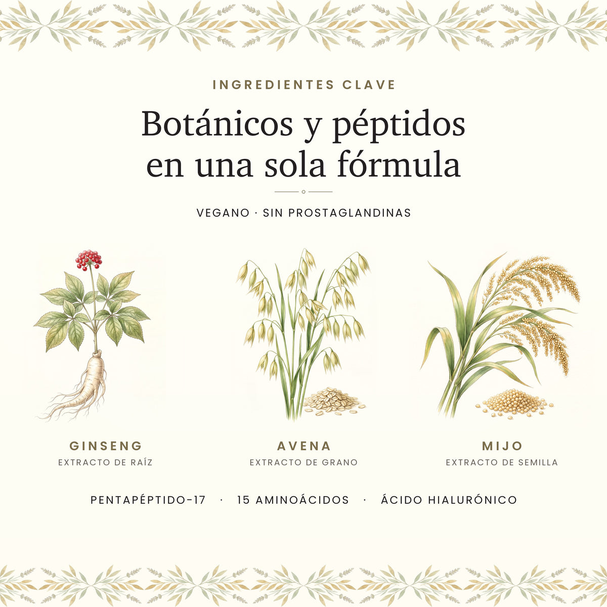 Ingredientes clave: ginseng, avena, mijo, pentapéptido-17 y 15 aminoácidos