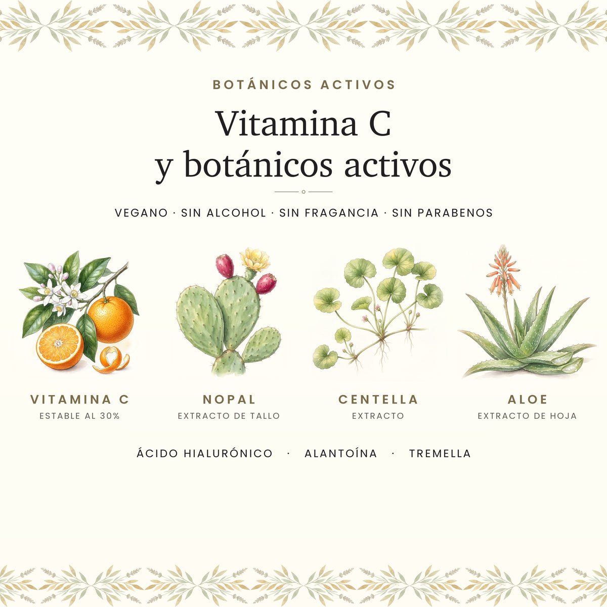 Vitamina C y botánicos activos: nopal, centella y aloe