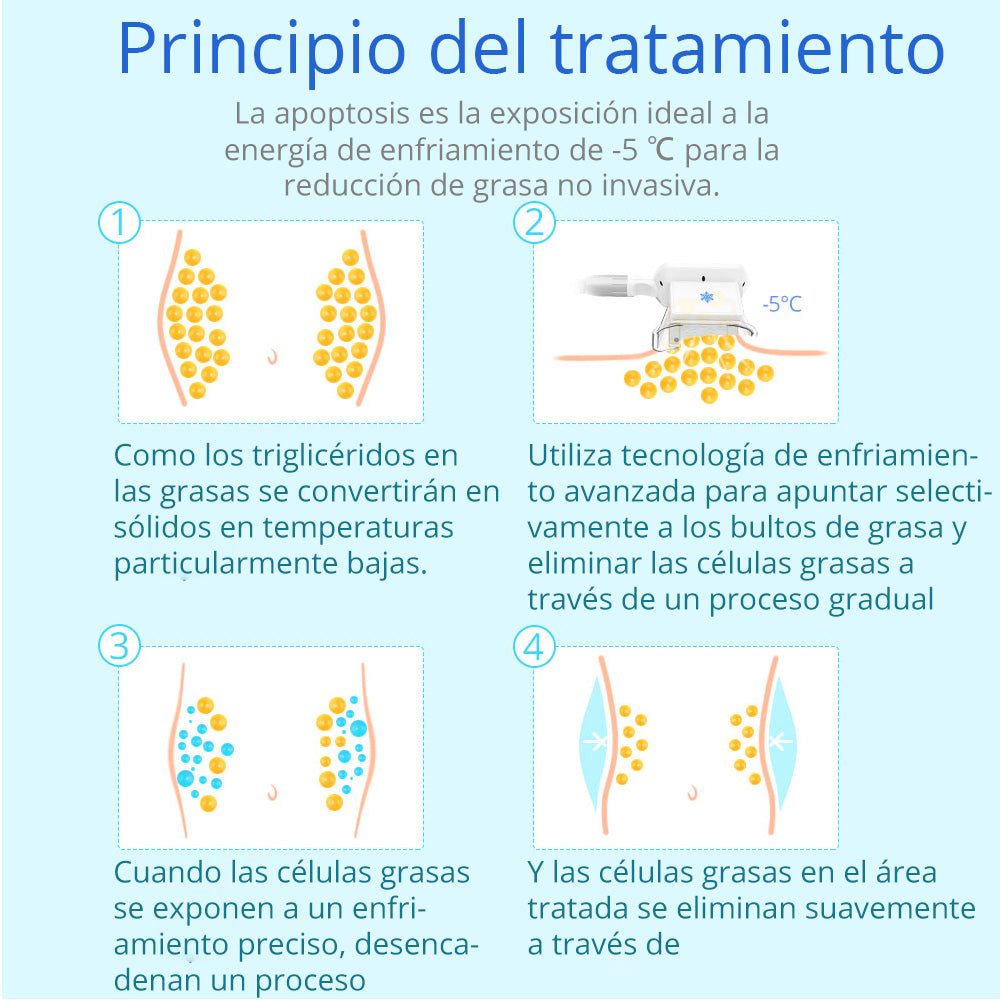Criolipólisis Profesional 2 Cabezales – Reducción de Grasa, Modelado y Definición Corporal