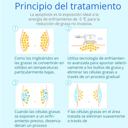 Criolipólisis Profesional 2 Cabezales – Reducción de Grasa, Modelado y Definición Corporal